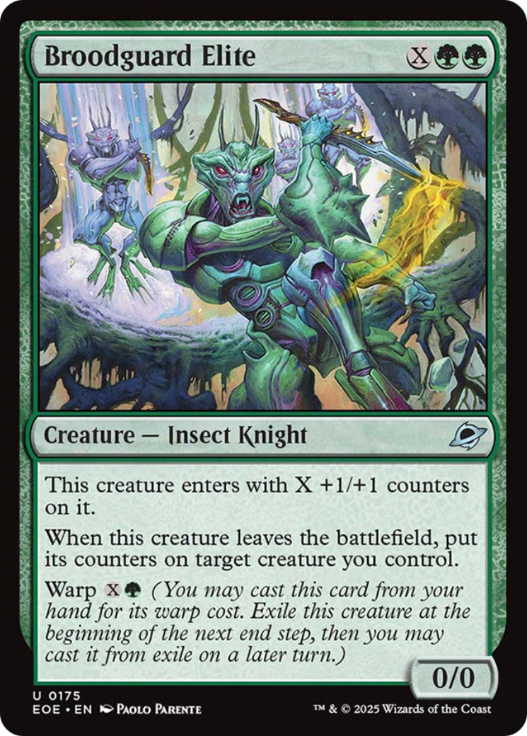 Broodguard Elite - Uncommon Creature — Insect Knight card from Edge of Eternities