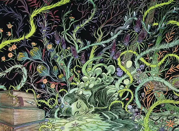 Mind Roots