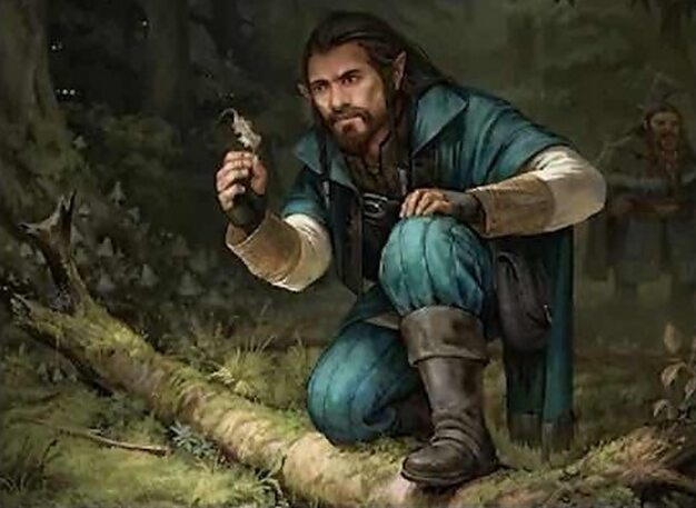 Fíli the Pathfinder
