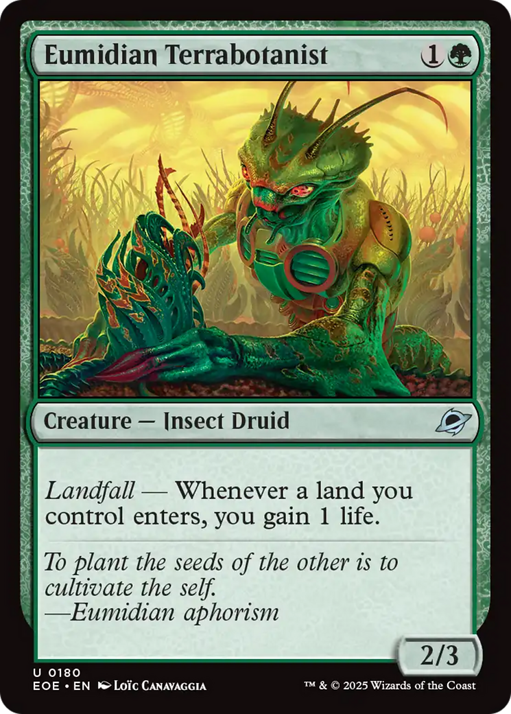 Eumidian Terrabotanist - Uncommon Creature — Insect Druid card from Edge of Eternities