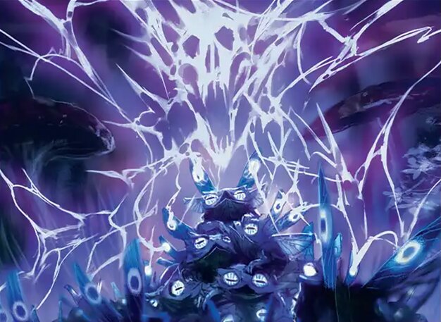 Featured image for article: Standard Cards at their lowest Price