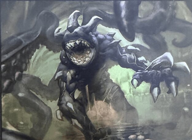 Featured image for article: Standard cards at their lowest price