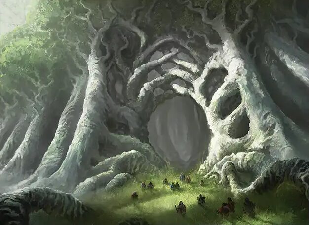 Through the Forest Gate