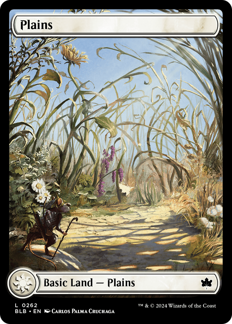 Image of card Plains
