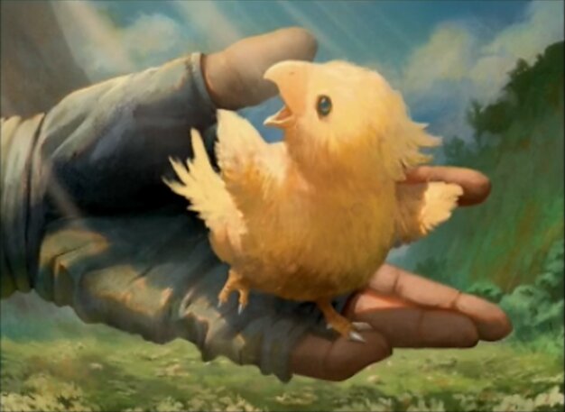 Sazh's Chocobo