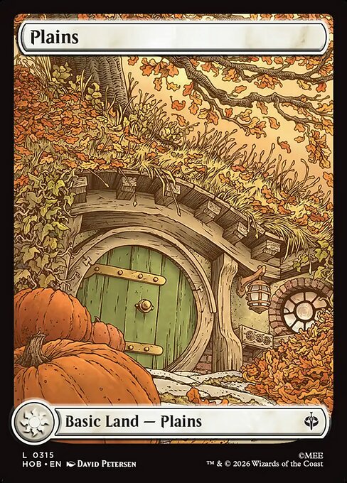 Plains - Common card from The Hobbit